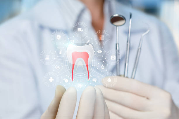 Point Roberts, WA Holistic Dental Care Services Company
